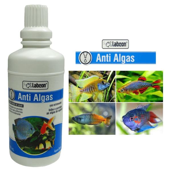 Imagem de Kit 6Labcon AntiAlgas 100ml - Alcon