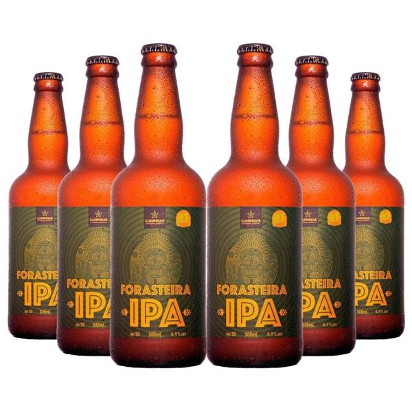 Imagem de Kit 6x Cervejas Nacional Artesanal Campinas Forasteira IPA 500ml