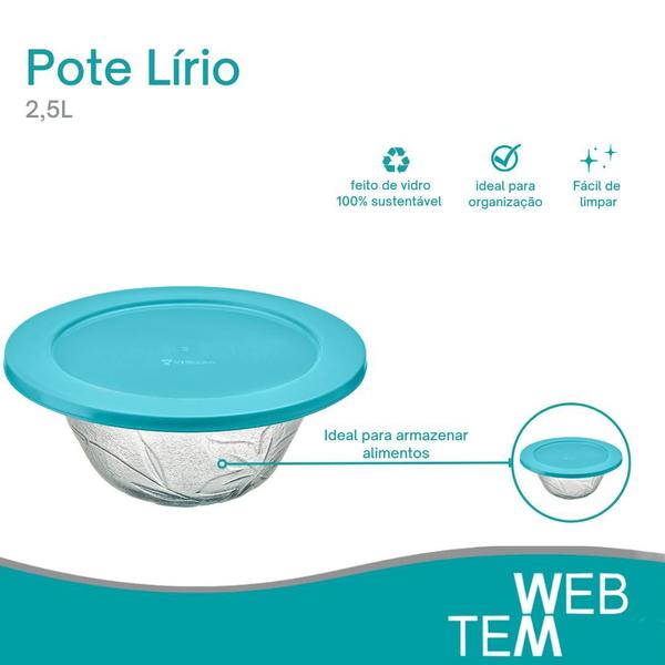 Imagem de Kit 8 Potes Tigela Saladeira de Vidro com Tampa Plástica Lírio 2,5l Vitazza: Para Servir Mesa Posta e Organizar Cozinha Opção Sustentável