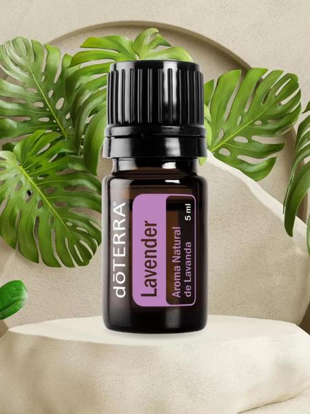 Imagem de Kit apresentação 3 óleos essenciais doterra