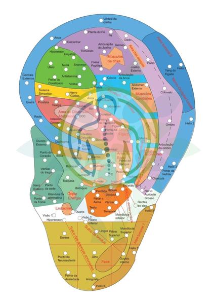 Imagem de Kit Auricular 14 Peças Para Auriculoterapia