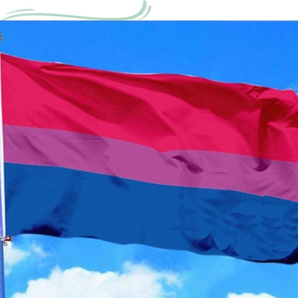 Imagem de KIT - Bandeira Gay + Bandeira Bissexual