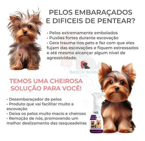 Kit Banho A Seco + Desembaraçador De Pelos Pet Clean 500ml Imagem de Kit Banho A Seco + Desembaraçador De Pelos Pet Clean 500ml