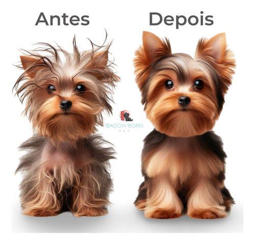 Kit Banho A Seco + Desembaraçador De Pelos Pet Clean 500ml Imagem de Kit Banho A Seco + Desembaraçador De Pelos Pet Clean 500ml