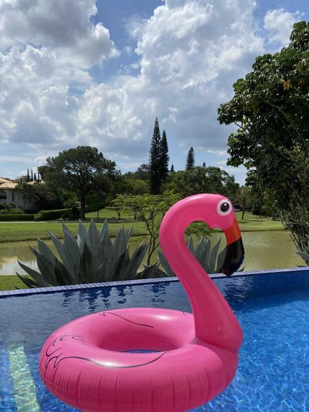 Imagem de Kit Boias Gigantes Para Adultos Unicórnio e Flamingo Rosa