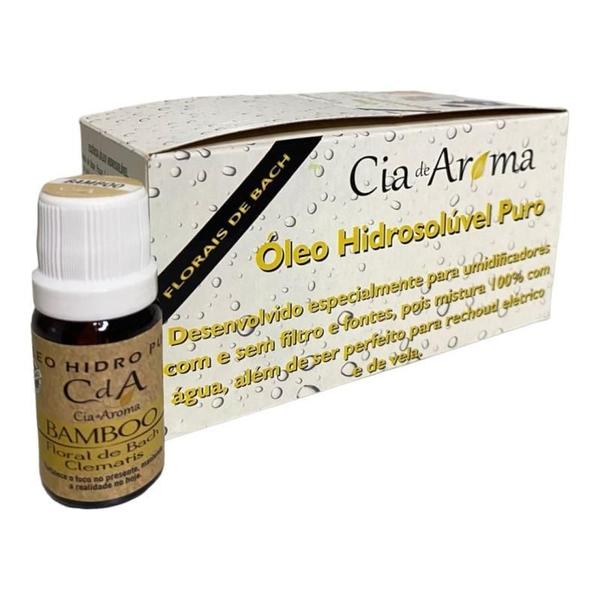 Imagem de Kit Box 10 Óleos Hidrossolúvel 10Ml - Escolha O Seu Aroma