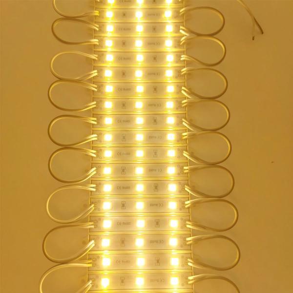 Imagem de Kit C/ 10 Módulos 5730 Smd 3 Led Ip65 Prova D'agua 12volts