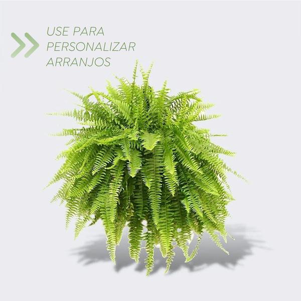 Kit c/ 10 Ramos Samambaia Planta Artificial Permanente Flor Arte 33cm Imagem de Kit c/ 10 Ramos Samambaia Planta Artificial Permanente Flor Arte 33cm