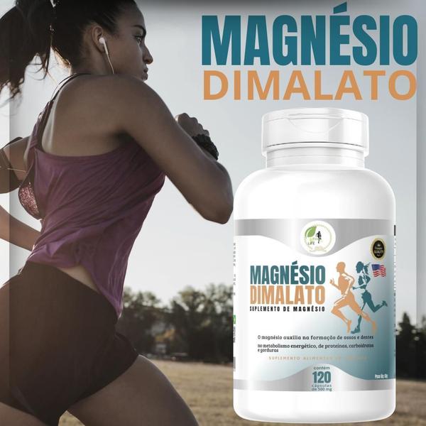 Imagem de KIT C/2 Magnésio Dimalato Puro Premium 120 Capsulas 500mg - Fits Life