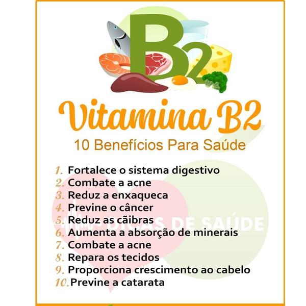 Kit C/ 2 Un Vitamina B2 Riboflavina Pura 120 Caps Vegano Unilife Imagem de Kit C/ 2 Un Vitamina B2 Riboflavina Pura 120 Caps Vegano Unilife
