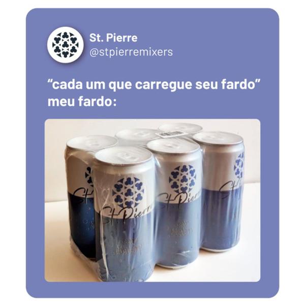 Imagem de Kit c/ 24un Refrigerante de Blueberry ST PIERRE 270ml