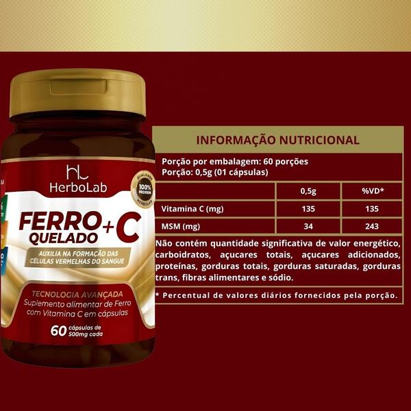 Imagem de KIT C/5 Ferro + Vitamina C Quelado 60 Cápsulas - Herbolab