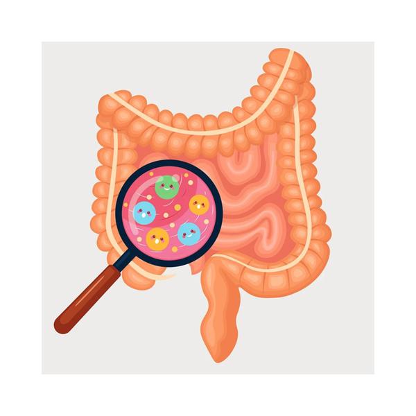 Imagem de Kit C2 Lacto Lactobacillus Intolerante a Lactose - Cifarma