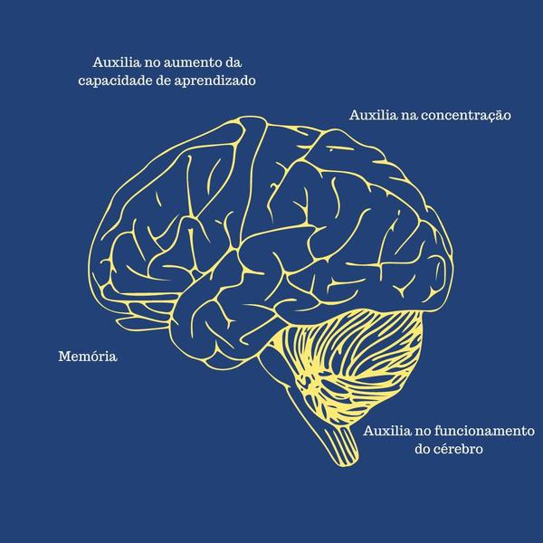 Imagem de Kit C2 Suplemento Vitamínico Neurofort Cognis C60 - Ecofitus