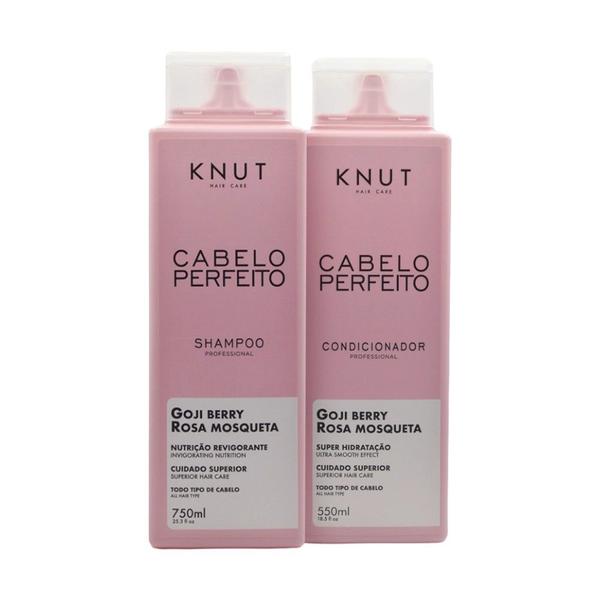 Imagem de Kit cabelo perfeito (shampoo 750ml + condicionador 550ml)