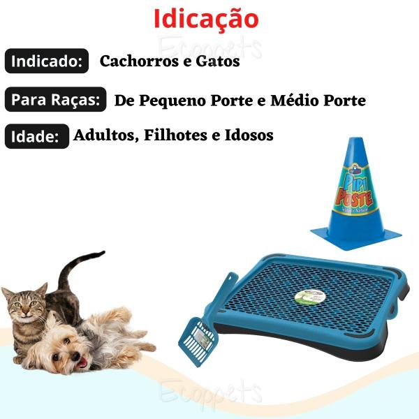 Imagem de Kit Cachorro Tapete Pá Higiênica Coletadora Cone Adestrador