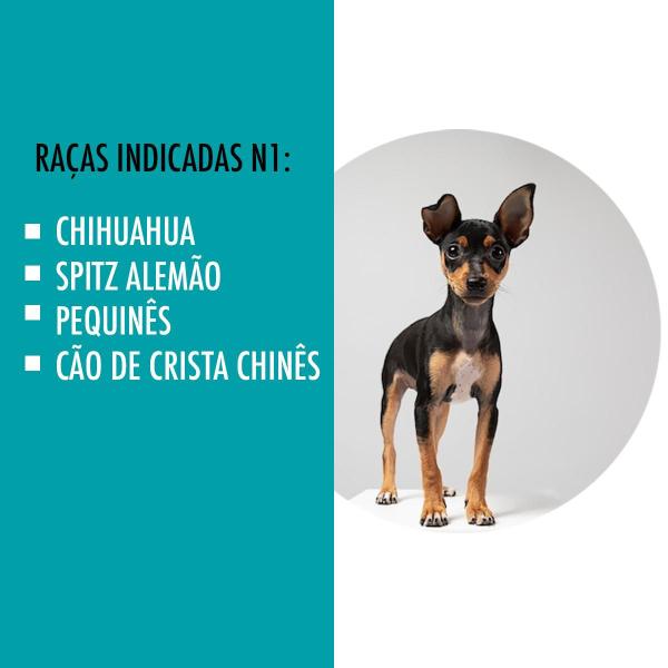 Imagem de Kit Casinha Caixa De transporte E Sanitário Pet Dog N1