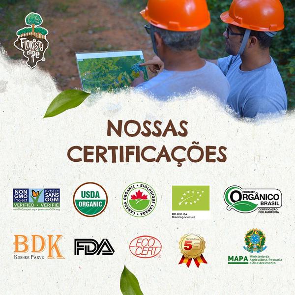 Kit Castanha do Pará Orgânica Inteira 125gr - Premium 9 Unidades - Floresta em Pé Imagem de Kit Castanha do Pará Orgânica Inteira 125gr - Premium 9 Unidades
