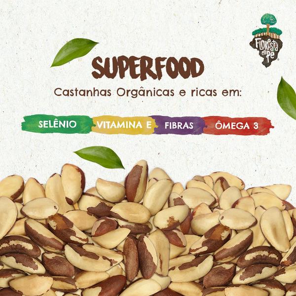 Kit Castanha do Pará Orgânica Inteira 125gr - Premium 9 Unidades - Floresta em Pé Imagem de Kit Castanha do Pará Orgânica Inteira 125gr - Premium 9 Unidades