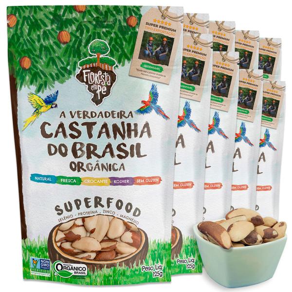 Kit Castanha do Pará Orgânica Inteira 125gr - Premium 9 Unidades - Floresta em Pé Imagem de Kit Castanha do Pará Orgânica Inteira 125gr - Premium 9 Unidades