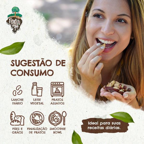 Imagem de Kit Castanha do Pará Orgânica Inteira 125gr - Premium 9 Unidades