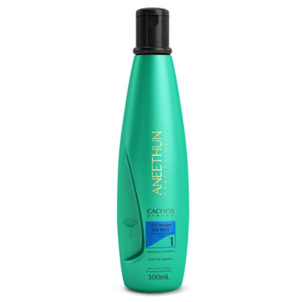 Kit Co Wash e Oleo Cachos System Aneethun Limpeza e Nutrição Imagem de Kit Co Wash e Oleo Cachos System Aneethun Limpeza e Nutrição