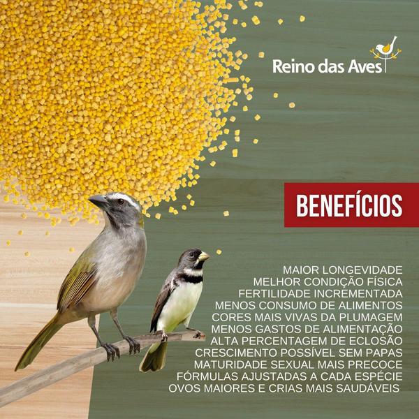 Imagem de Kit Coleira - Ração Extrusada Extra Gold Ovos E Mel 500g + Coleira Gold Mix 500g - Reino das Aves