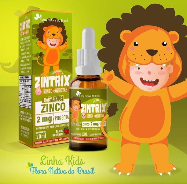 Imagem de Kit Com 02 - Zintrix Zinco em Gotas 20ml Sabor Morango Kids Flora Nativa