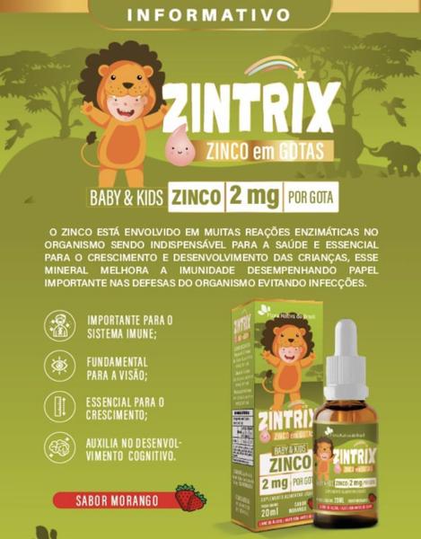 Imagem de Kit Com 04 - Zintrix Zinco em Gotas 20ml Sabor Morango Kids Flora Nativa