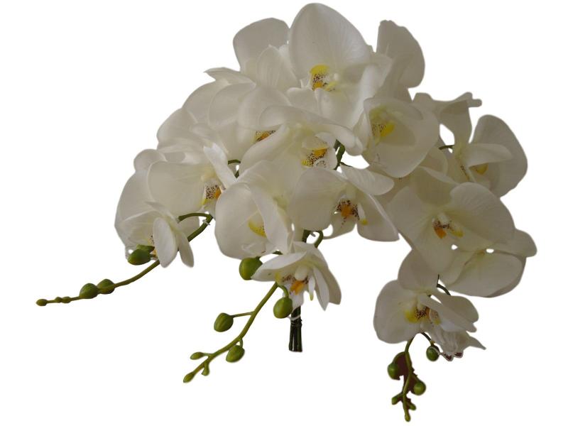 Imagem de Kit com 10 hastes de orquídeas permanente na cor branca