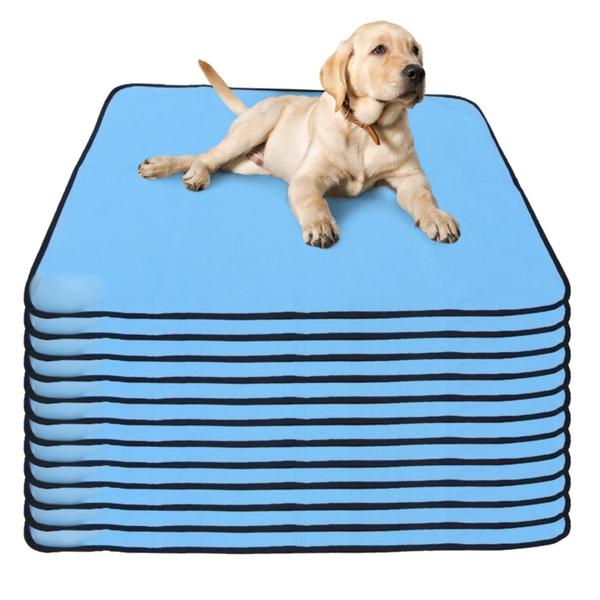 Imagem de Kit com 12 Tapetes Higiênicos 100x70 Azul 200 Lavagens para cães - Alta Absorção