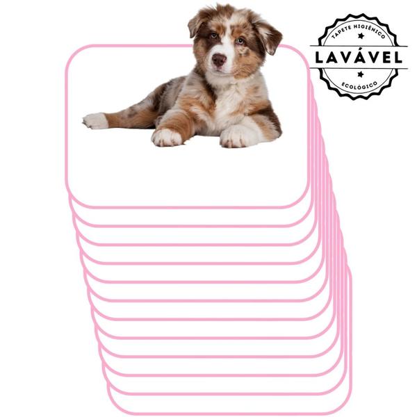 Imagem de Kit com 12 Tapetinhos Alta Absorção para Pets 70x50 Branco com borda Rosa 200 Lavagens