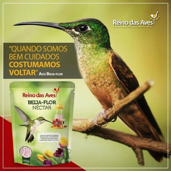 Imagem de Kit Com 2 Beija Flor Néctar 400g - Reino das Aves