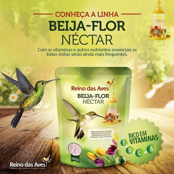 Imagem de Kit Com 2 Beija Flor Néctar 400g - Reino das Aves