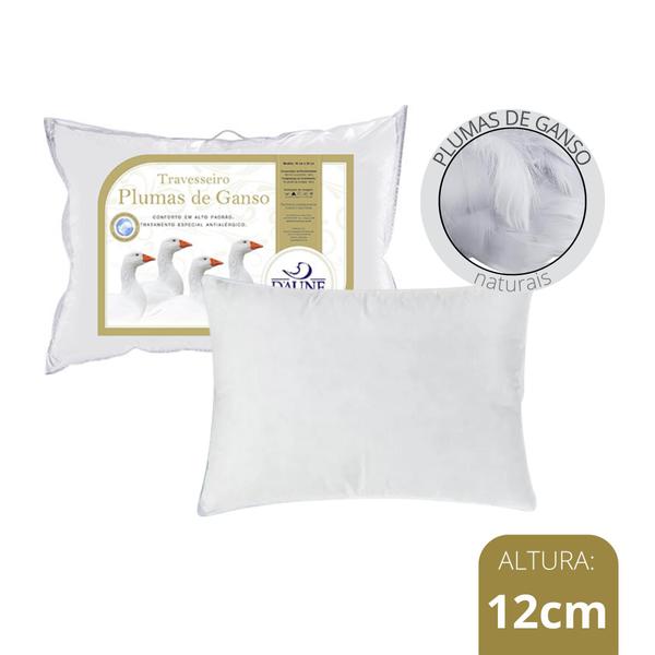 Kit com 2 Travesseiros Plumas 5 Estrelas - Daune Imagem de Kit com 2 Travesseiros Plumas 5 Estrelas