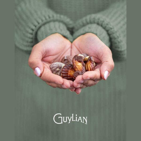 Kit Com 2Cxs Chocolate Belga Guylian Sea Shells 125G Imagem de Kit Com 2Cxs Chocolate Belga Guylian Sea Shells 125G