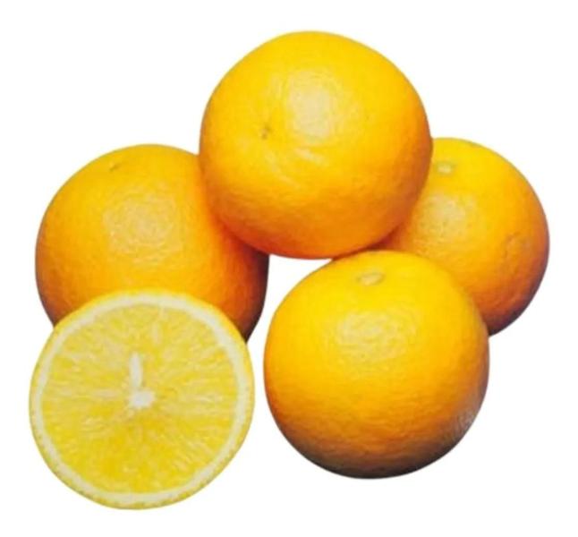 Imagem de Kit Com 3 Mudas De Laranja Lima - Enxertadas