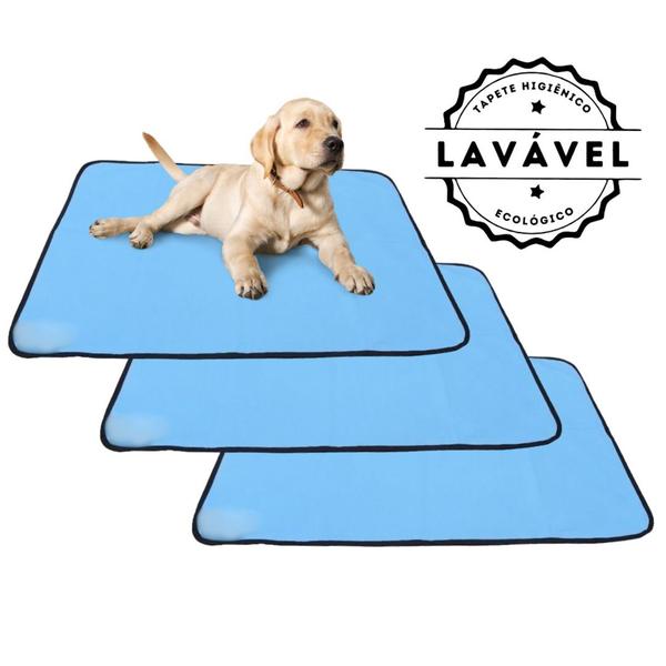 Imagem de Kit com 3 Tapetes Higiênicos 100x70 Azul 200 Lavagens para cães - Alta Absorção