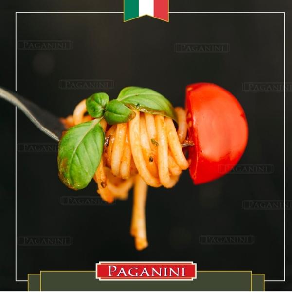 Imagem de Kit Com 3Und Macarrão Italiano Spaghetti Paganini 500G