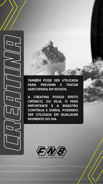 Kit Com 4 Creatina Monohidratada Pro 3.0 300g Sabor Tangerina Refrescante - Flora Nativa do Brasil Imagem de Kit Com 4 Creatina Monohidratada Pro 3.0 300g Sabor Tangerina Refrescante