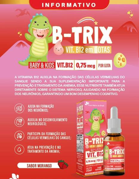 Imagem de Kit Com 5 B-TRIX Vitamina B12 Kids em Gotas 20ml Flora Nativa do Brasil