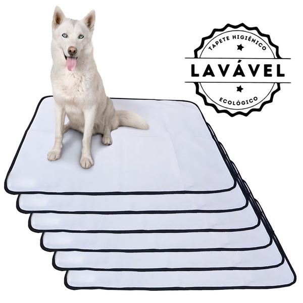 Imagem de Kit com 6 Tapetinhos Alta Absorção para Pets 100x70 Branco com borda Preta - 200 Lavagens