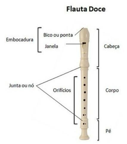 Imagem de Kit Combo Flauta Doce Instrumento Brinquedo Infantil +Ensino