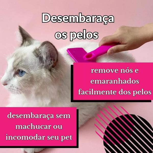 Imagem de Kit Comedouro Inox Alicate Unha pet e Rasqueadeira Cao Gato