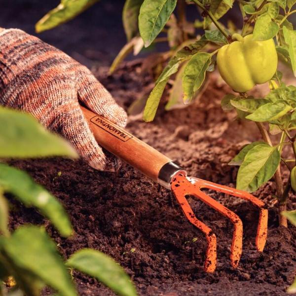 Imagem de Kit Conjunto Jardinagem 3 Peças Cabo Madeira + Tesoura Poda