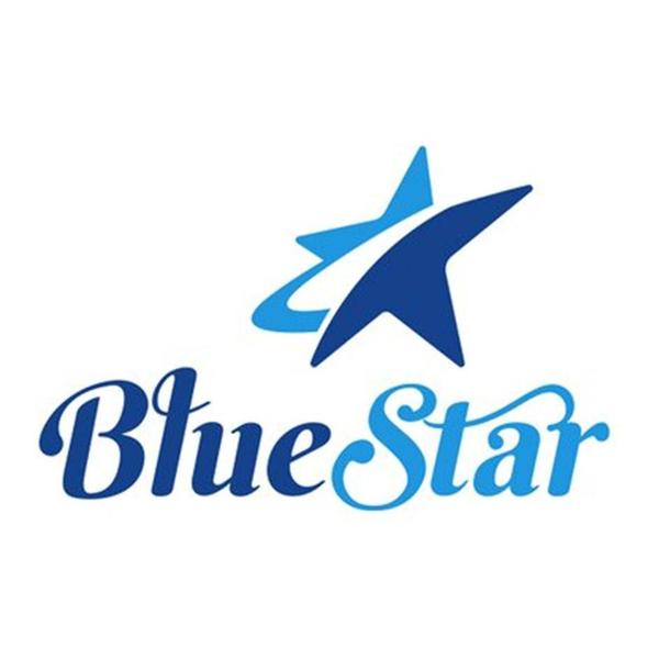 Imagem de Kit Cortadores Babado Retangular E Oval 4 Peças Blue Star