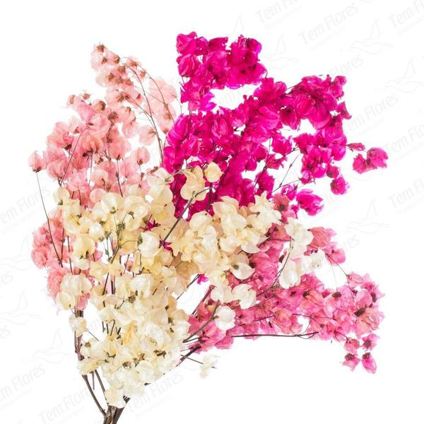 Imagem de Kit de 3 bougainville  - Flores Desidratadas