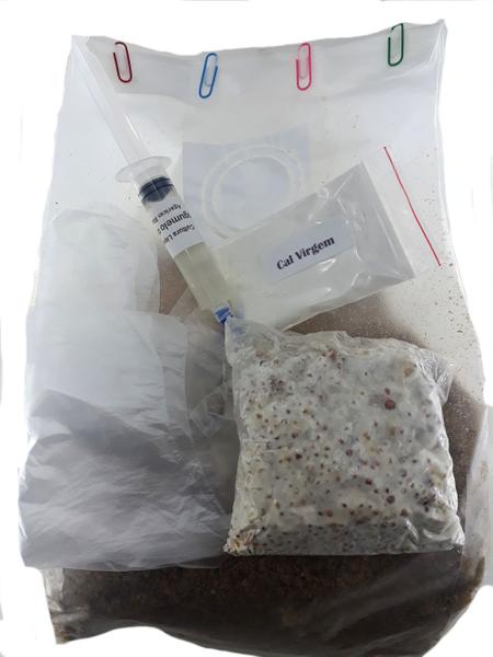 Imagem de Kit de Cultivo em Casa do Cogumelo Shitake Rico em Proteina