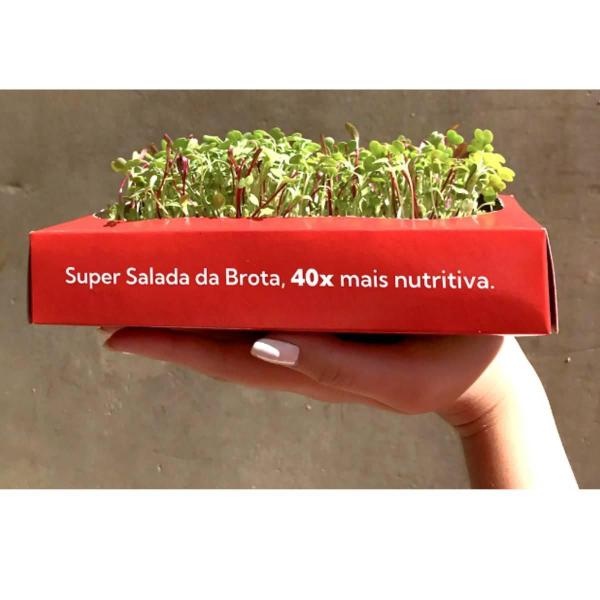 Imagem de Kit De Cultivo Super Salada (40X Mais Nutrição) Brota