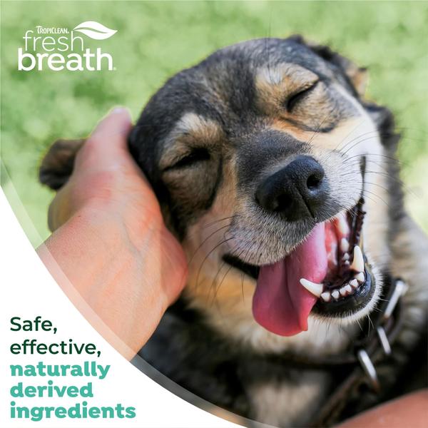 Imagem de Kit de higiene bucal TropicClean Fresh Breath para cães grandes